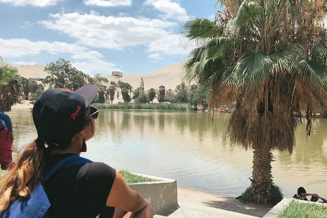 Nazca Lines and Huacachina Oasis from Lima - Huacachina Oasis After Nazca: Photos, Palm Shade, and a Real Desert World