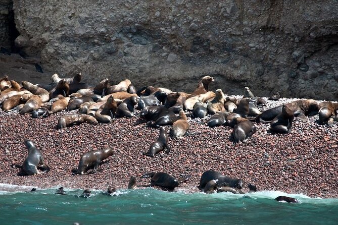 Nazca Lines & Ballestas Islands Private Tour Bus&Flight from Lima - Lima to Paracas: your early start and what you’re signing up for