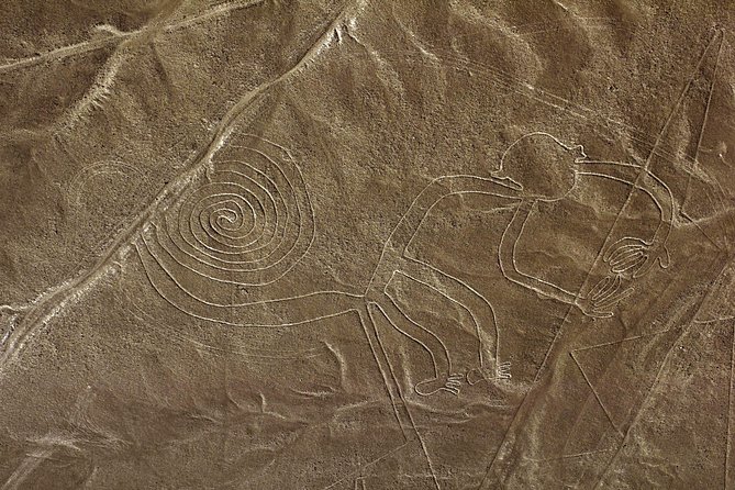 Nazca Lines & Ballestas Islands Private Tour Bus&Flight from Lima - Should you book this day trip?