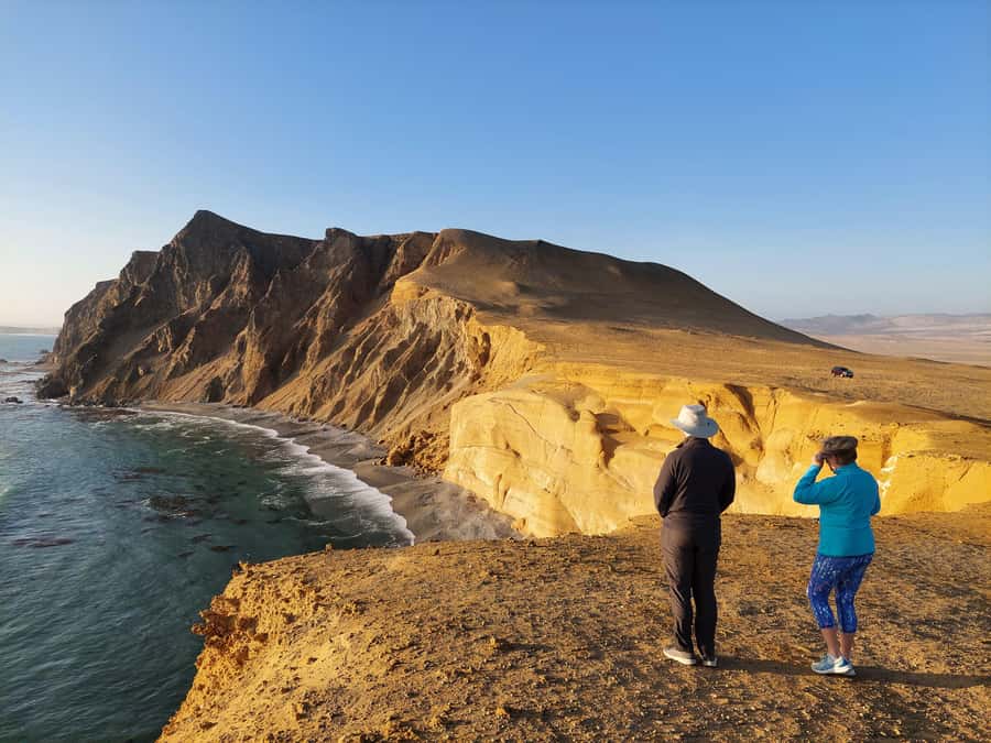 Paracas: Ballestas Island & Nature Reserve all inclusive - Why this Paracas combo works so well