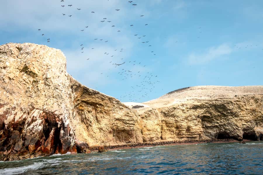 Paracas: Ballestas Island & Nature Reserve all inclusive - Paracas Reserve by jeep: wetlands, rock shapes, and multicolored beaches