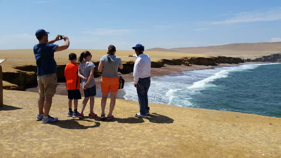 Paracas: Ballestas Island & Nature Reserve all inclusive - Hotel pickup and getting to the water without stress