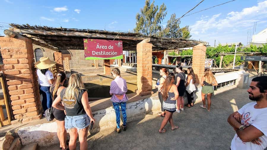 Paracas or Pisco: Private Huacachina Oasis Tour & Buggy Ride - Dune Buggy Ride in the Ica Desert: 1 Hour of Real Action