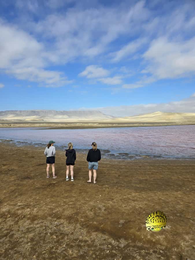 Paracas:Private Tours Paracas National Reserve all inclusive - Your timing: when the tour runs and what that does to your experience