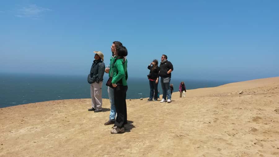 Paracas:Private Tours Paracas National Reserve all inclusive - Who this Paracas private tour suits best