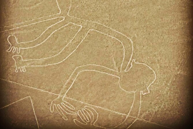 Private Tour to the Astonished Nazca Lines and Huacachina Oasis - Logistics That Can Make or Break Your Day
