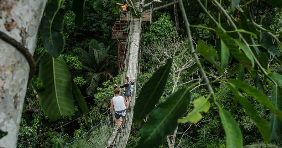 Puerto Maldonado: 2-Day Peruvian Tambopata Jungle Trip - Zip-line time: 190 meters of fun with real safety structure