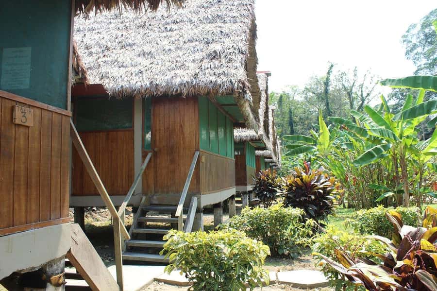 Puerto Maldonado: 2-Day Peruvian Tambopata Jungle Trip - Day 2 at Lake Sandoval: rainforest walk, then canoe time