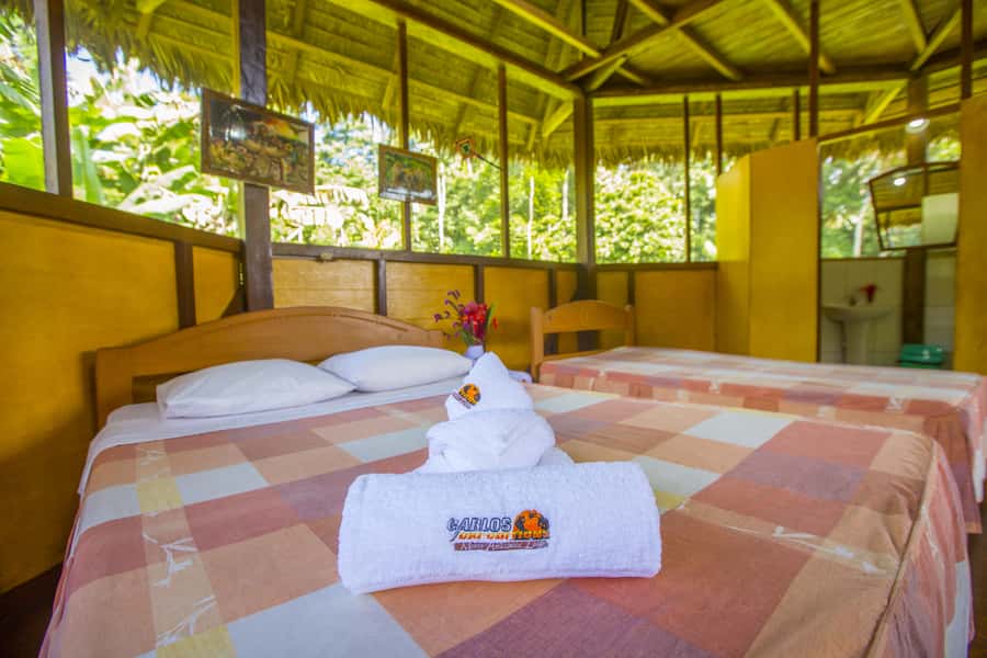 Puerto Maldonado: Sandoval Lake 4-Day, 3-Night Guided Tour - Puerto Maldonado to MonteAmazonico Lodge: getting into the Madre de Dios rhythm