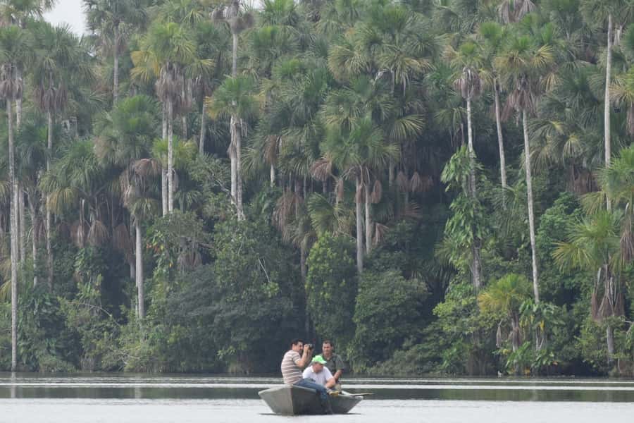 Puerto Maldonado: Sandoval Lake Full-Day Trip with Canoeing - Sandoval Lake by canoe: calm water, close wildlife