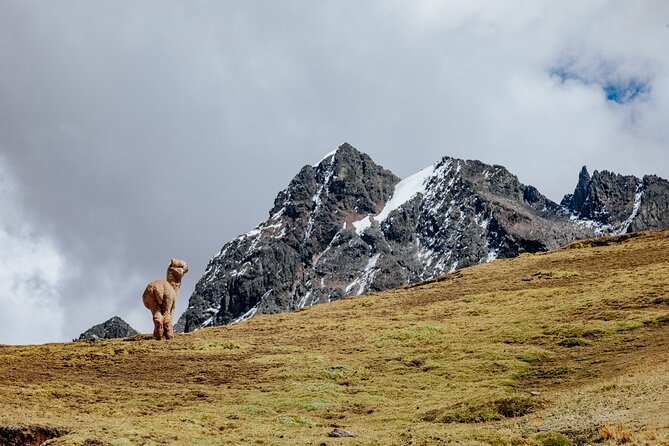 Rainbow Mountain and Red Valley Hike – 2 Days / 1 Night - Fitness, altitude, and how to prep so you can enjoy it