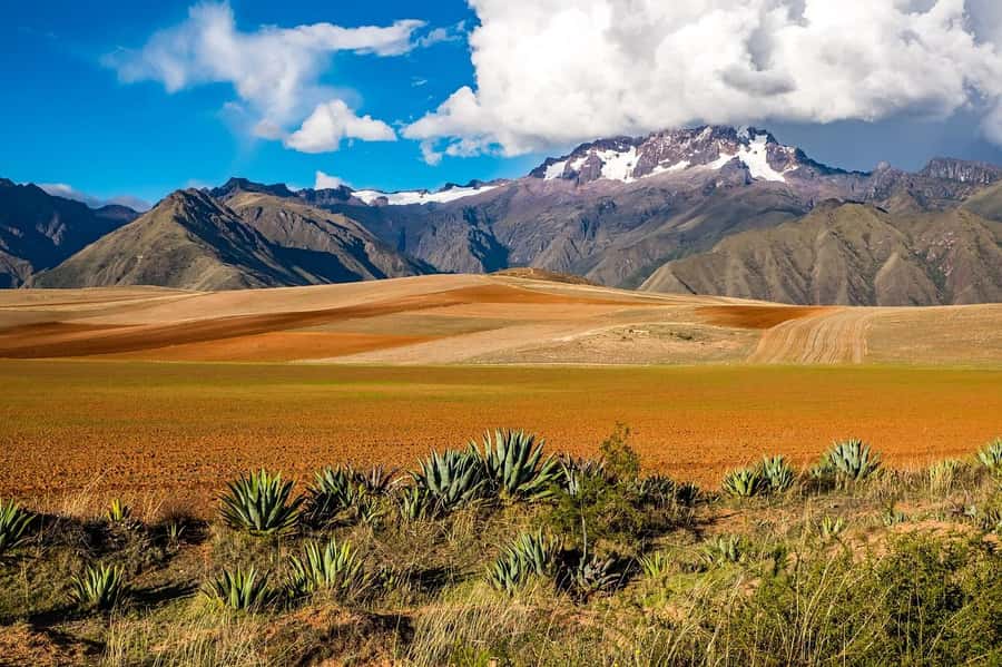 Sacred Valley: Chinchero, Moray, Ollantaytambo & Pisac+Lunch - Pisac: archaeological park plus the artisan market in town