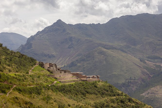 Sacred Valley - Pisac and Ollantaytambo day tour - Manos De La Comunidad: animal rescue and the Andes’ camelid cast