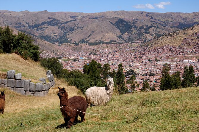 Sacsayhuaman Temple, Tambomachay and Puca Pucara Half-Day Tour - Puca Pucara: the red fortress and its water features