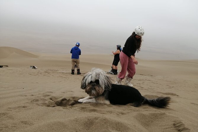 Sandboarding Experiance in Lima - Who This Tour Fits Best (And Who Might Rethink It)