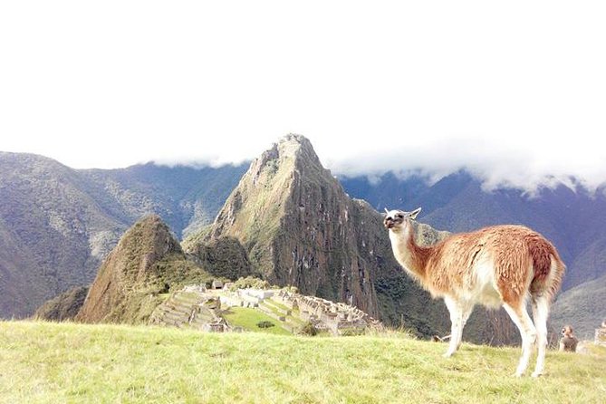Small-Group Day Tour to Machu Picchu - Machu Picchu Day, in Real Life: the 5:15 am Reality Check