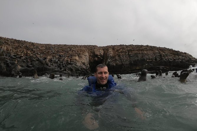 Swimming with Sea Lions in Lima - The boat cruise around Callao: yachts, warships, penguins, and birds