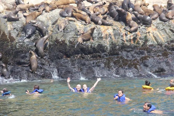 Swimming with Sea Lions in Lima - Price and value: is $139 a fair trade for 6 hours?