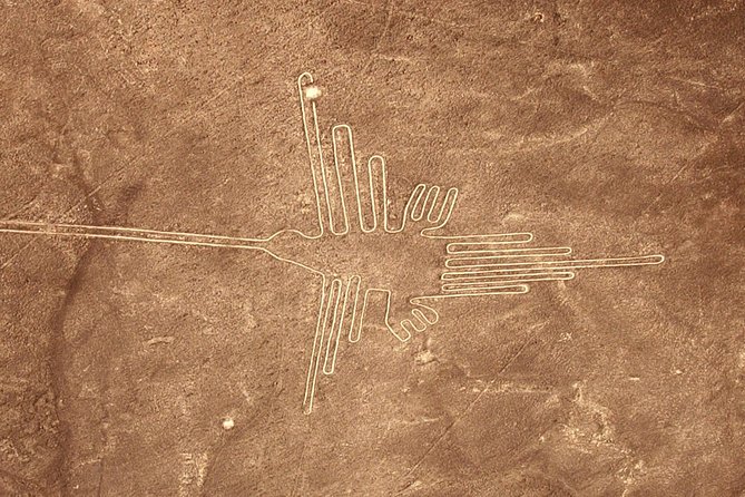 The Nazca Lines & Huacachina Oasis from Lima - Private Trip - The People Part: Why Guides and Drivers Make This Tour Worth It