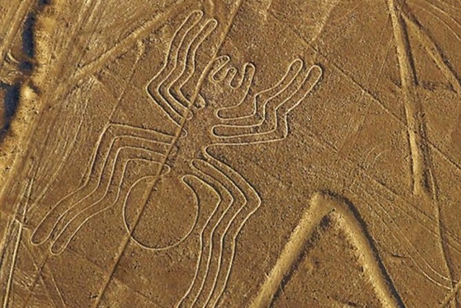The Nazca Lines & Huacachina Oasis from Lima - Private Trip - Price and Value: What $485 Covers (and What It Doesn’t)