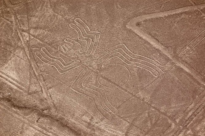 The Nazca Lines & Huacachina Oasis from Lima - Private Trip - What to Pack for Nazca Plus Huacachina (So the Day Feels Fun)