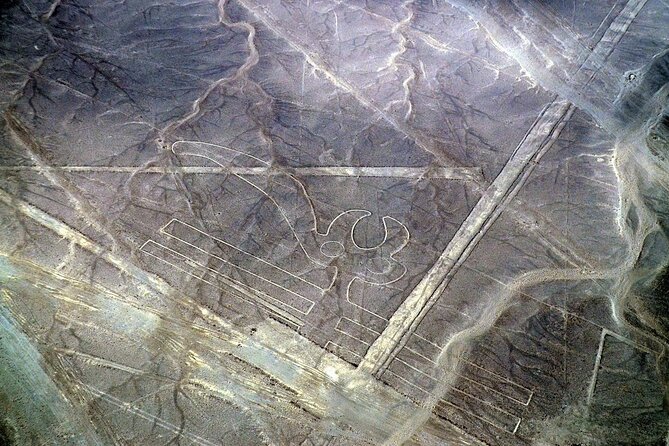 The Nazca Lines & Huacachina Oasis from Lima - Private Trip - Who This Trip Suits Best (And Who Might Prefer a Different Plan)
