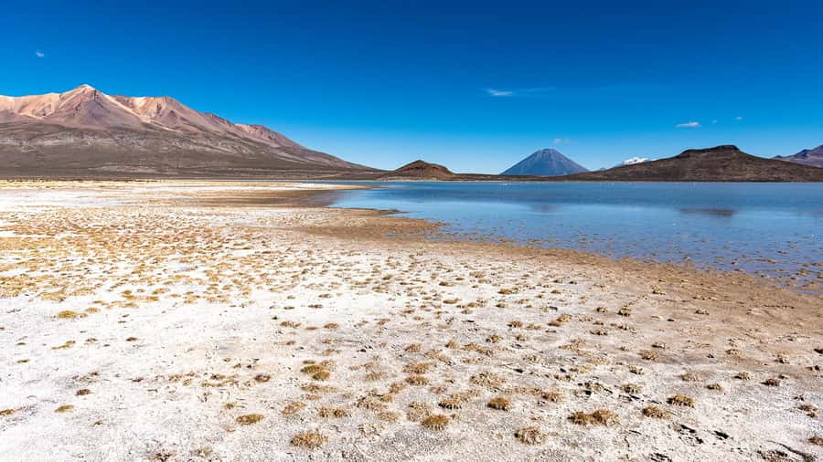 Tour to the Salinas Lagoon and National Reserve in Arequipa - The road back: bumpy terrain and the altitude hangover