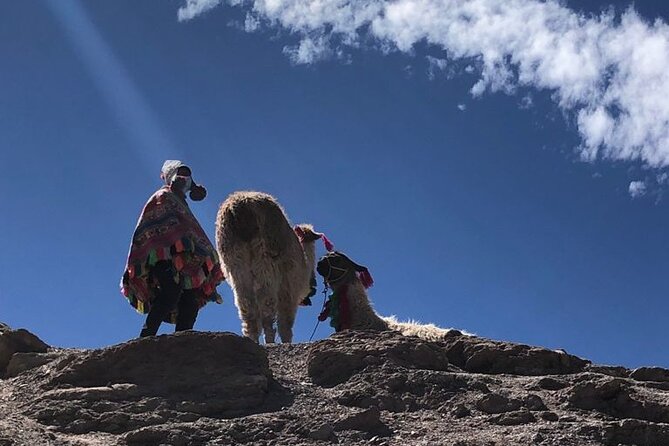 Vinicunca Rainbow Mountain Full-Day Tour from Cusco - Transportation, pickup/drop-off, and why this tour is built for one-day convenience
