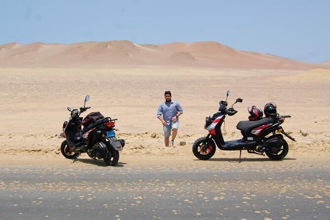 Visit the Paracas National Reserve on a SCOOTER - Key Points to Know Before You Go
