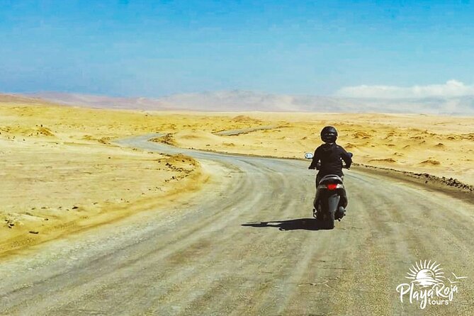 Visit the Paracas National Reserve on a SCOOTER - Yumaque Viewpoints: Make This Your First Long Pause
