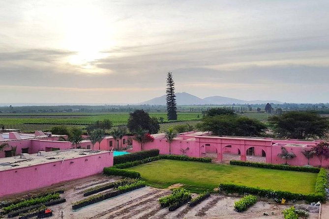 Winery and Pisco Distillery tour - The El Arrabal and La Vieja Bodega Lovera Stretch: Artisanal Pisco With a Real Lunch Break