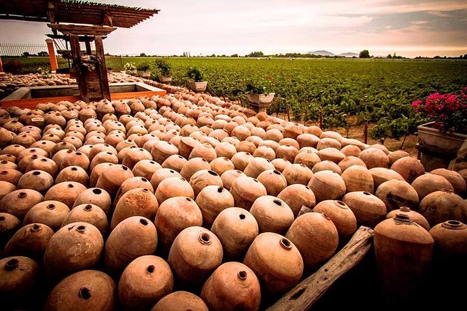 Winery and Pisco Distillery tour - What You’ll Taste (and Why It’s More Than a Souvenir)