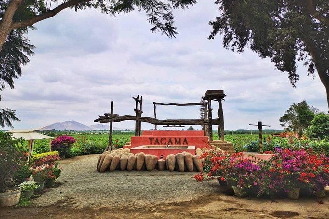 Winery and Pisco Distillery tour - Transportation, Timing, and Group Size: The Stuff That Makes or Breaks the Afternoon